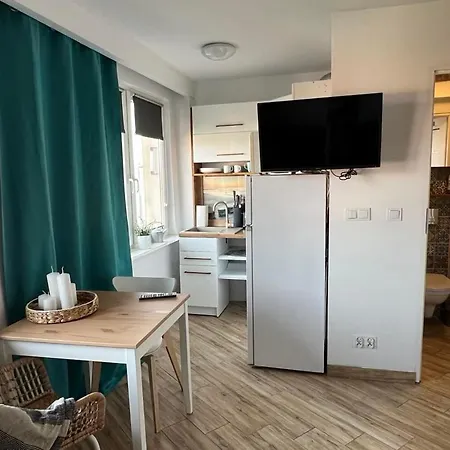 Sea View 5 Min Od Morza 公寓 格但斯克